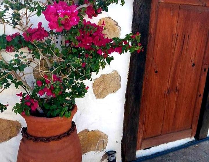 Casa Rural Alessia With Jacuzzi ,Garden & Swimming Pool Санта-Крус-де-Тенерифе Экстерьер фото
